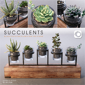 Succulents_set